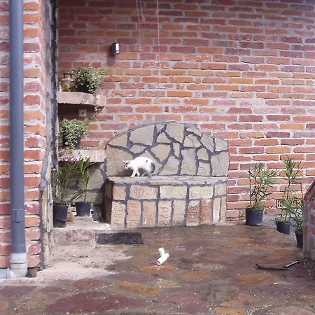Tulipanhaz
